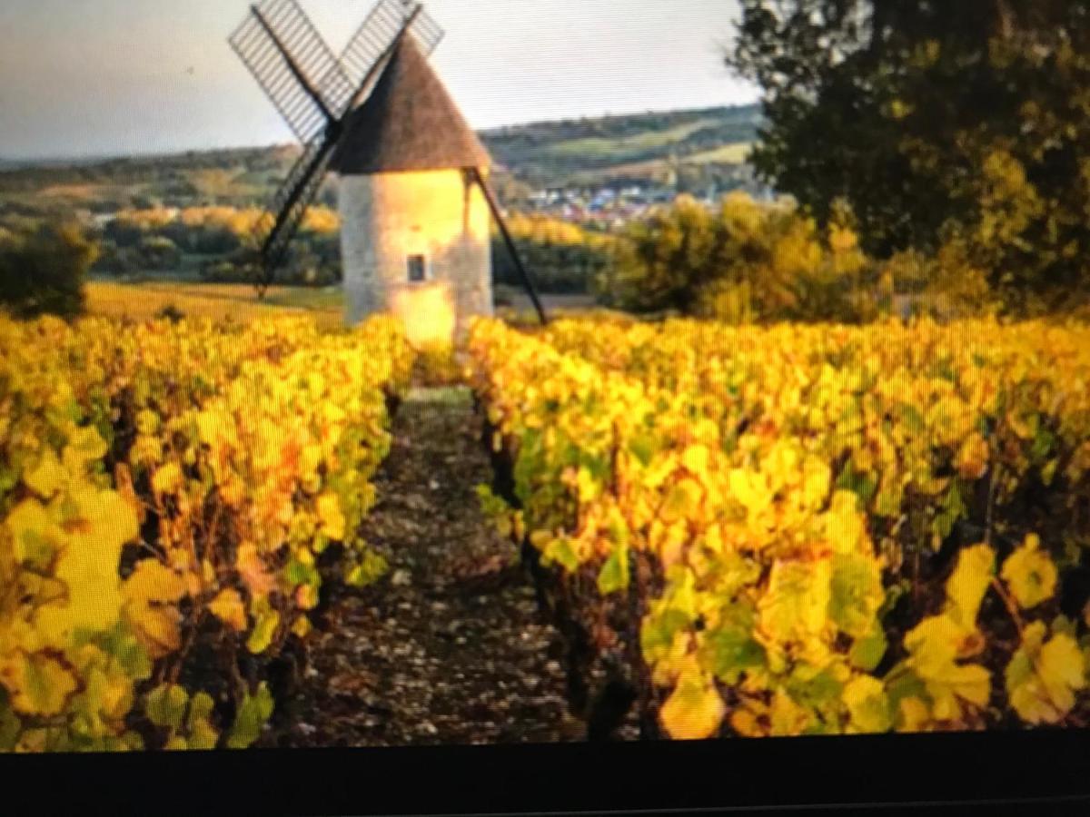 Maison M On The Dordogne Сант-Фой-ла-Гронд Екстериор снимка